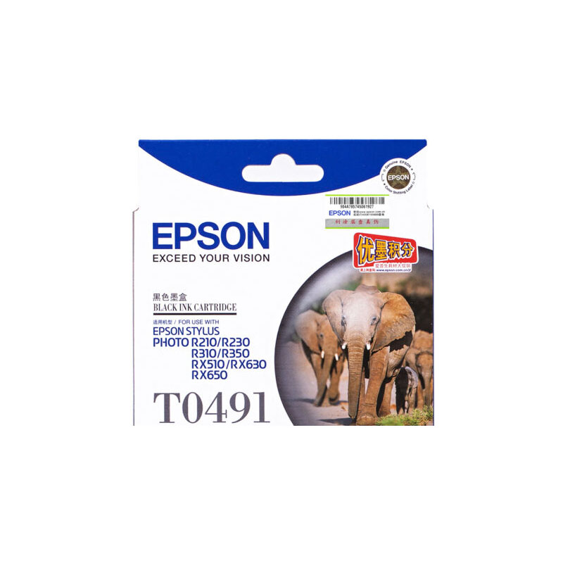 爱普生T0491墨盒黑适用于R210R230310RX510