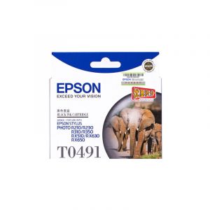 爱普生T0491墨盒黑适用于R210R230310RX510