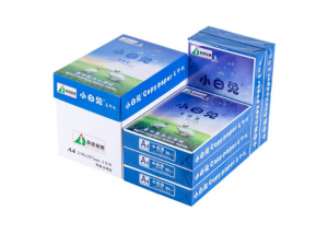 小白兔（XIAOBAITU）A480g复印纸500张/包10