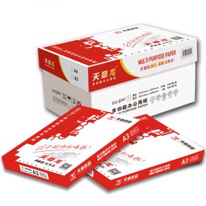 天章龙A380g复印纸500页/包5包/箱