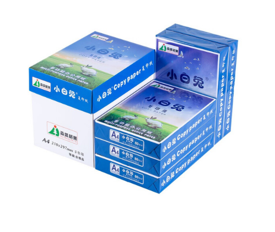 松源（SONGYUAN）A4/80g复印纸500张/包10包