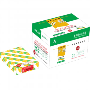 天章（TANGO）沙龙复印纸80gA4500张/包10包/箱