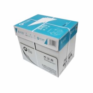 亚太森博（AsiaSymbol）爱可佳复印纸A480g白色5