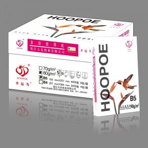 幸运鸟-白鸟80克B5