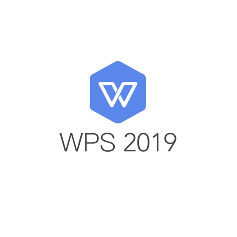 WPSOffice2019专业版办公软件（政府专用一年服务，