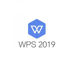 WPSOffice2019专业版办公软件（政府专用一年服务，随机数量授权