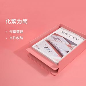 纽赛NS021文件托盘双层文件架2个装A4纸文件框桌面收纳办