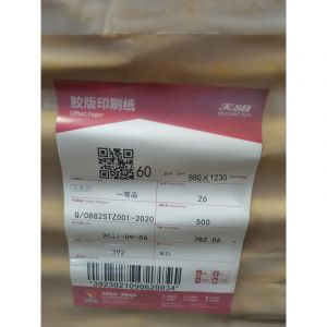 太阳纸业天阳双胶纸60G／㎡880mm×1230mm（本白）