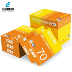 金晨鸣70gA3（8包/箱）