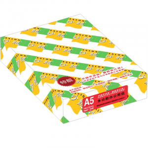 天章（TANGO）沙龙复印纸80gA5500张/包20包/箱白色