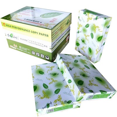 绿叶（GreenLeaf）A4/80g青色复印纸500张/包
