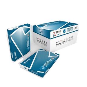 天章A4/80g复印纸500张/包10包/箱