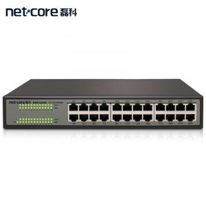 磊科/netcore