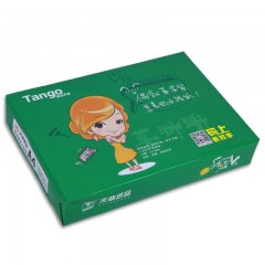 天章乐活天章A480g复印纸500张/包5包/箱