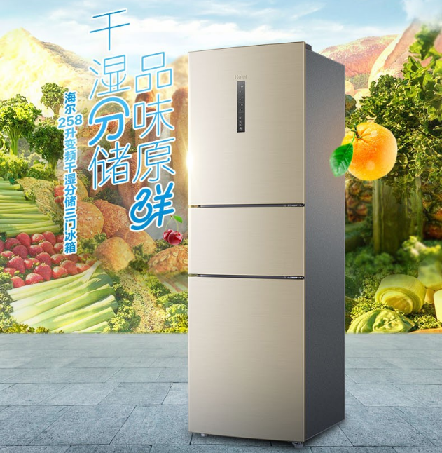 海尔（Haier）BCD-258WDVLU1258升三门冰箱家用干湿分储变