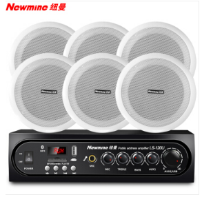纽曼（Newmine）R16  吊顶背景音乐公共广播功放音箱系统