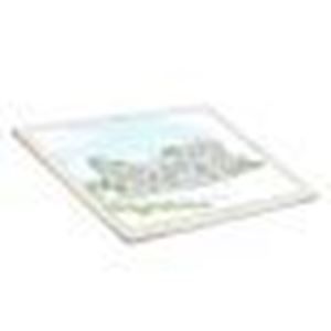 华为平板 M5 CMR-W19 Pro 4GB 64GB 全网通（香槟金）