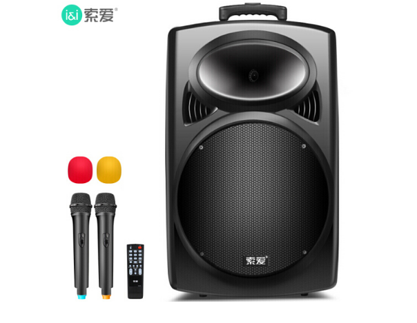 索爱（soaiy）SA-T20新版12英寸便携式音响