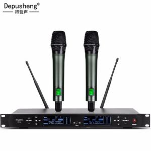 depusheng 得普声 DR666专业一拖二无线话筒